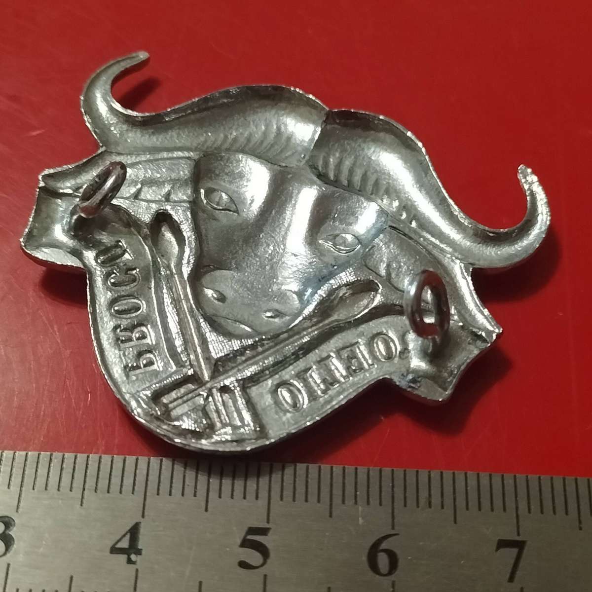 COLLECTION SADF BADGES.