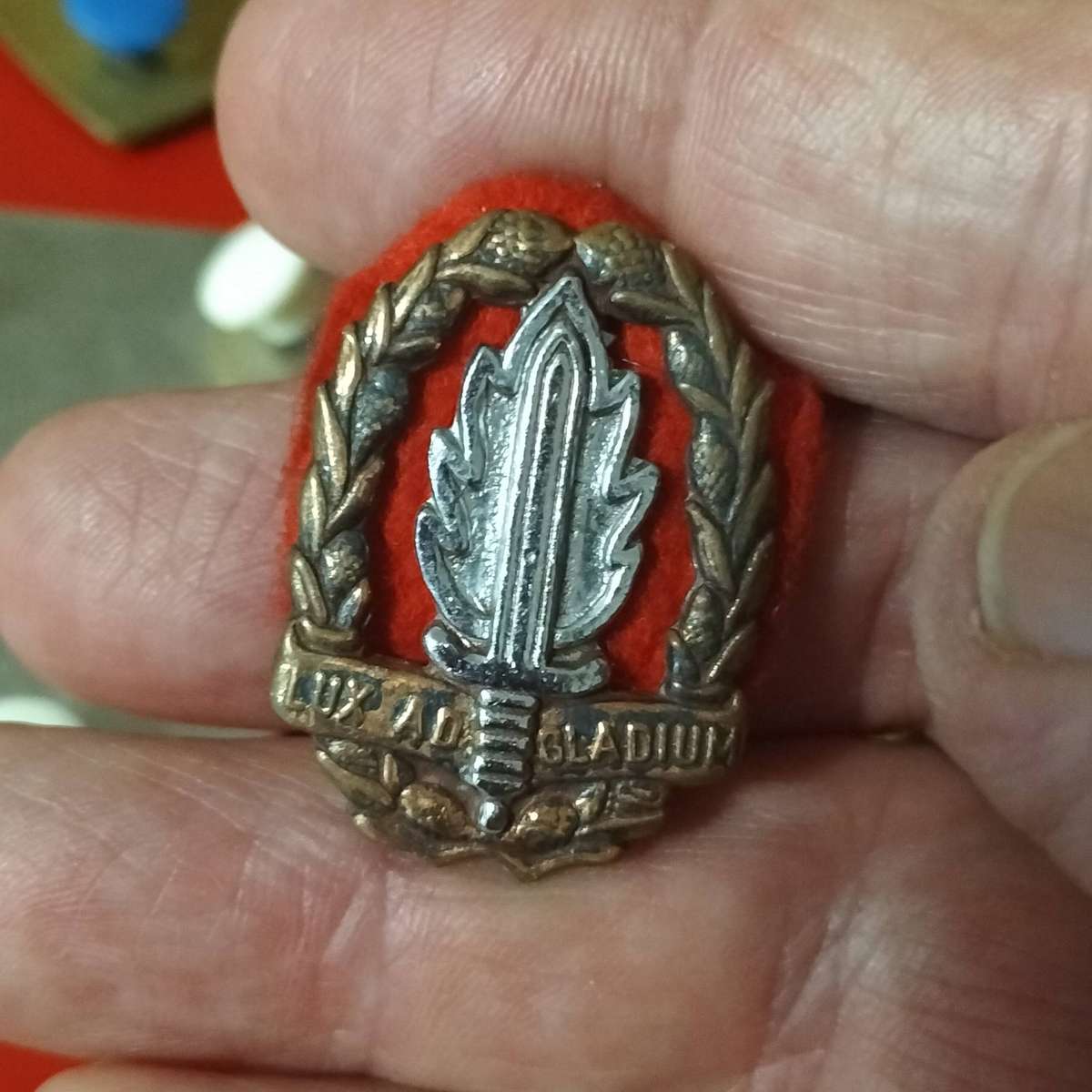 FIVE SADF ARMY BADGES.