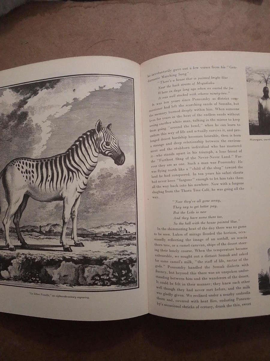 The End of the Game - Peter Beard