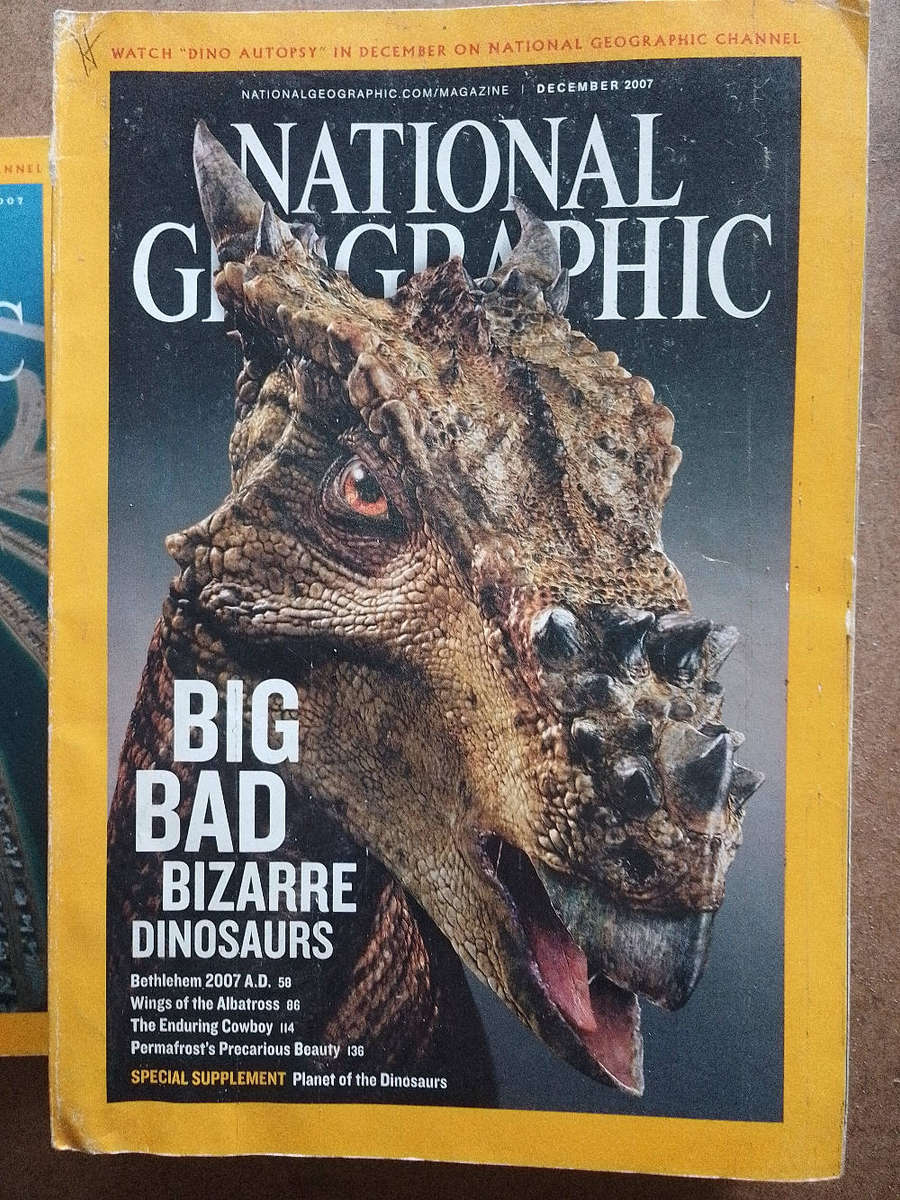 National Geographic Magazines - various years
