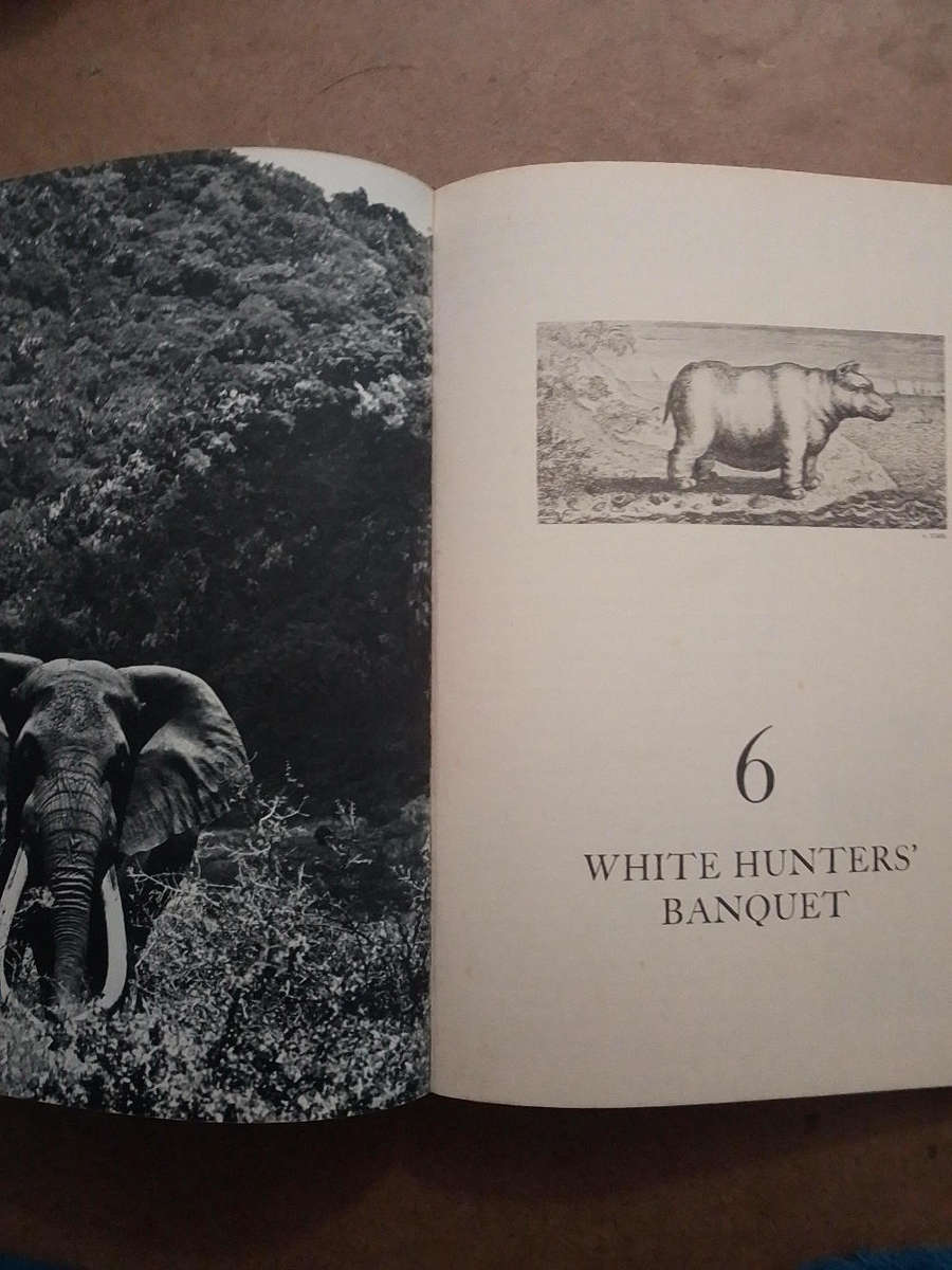 The End of the Game - Peter Beard