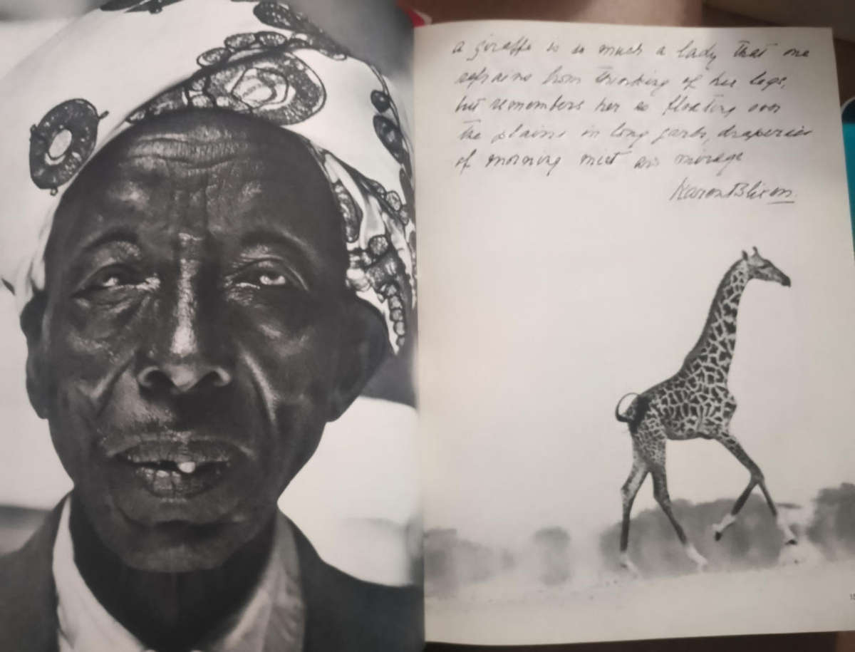 The End of the Game - Peter Beard