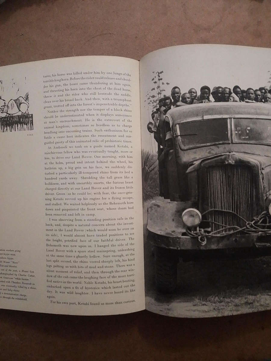 The End of the Game - Peter Beard