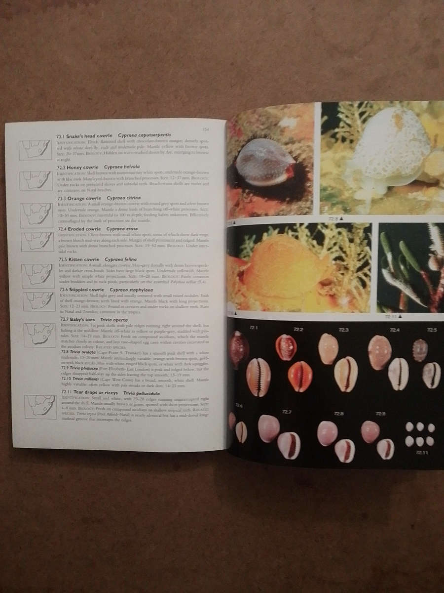 Two Oceans - a guide to the Marine Life of Southern Africa