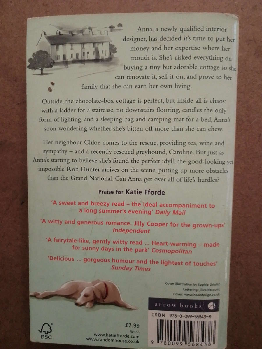 Katie Fforde - Practically Perfect