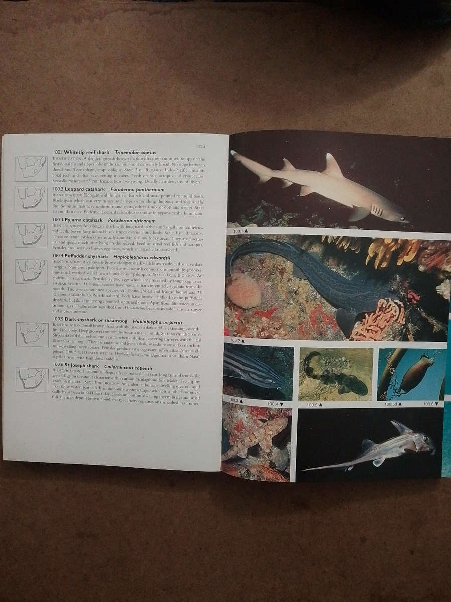 Two Oceans - a guide to the Marine Life of Southern Africa