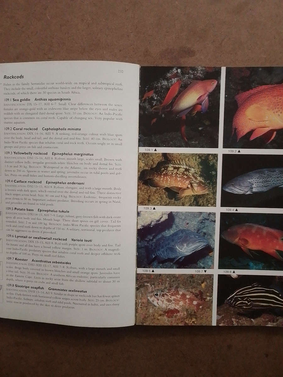 Two Oceans - a guide to the Marine Life of Southern Africa