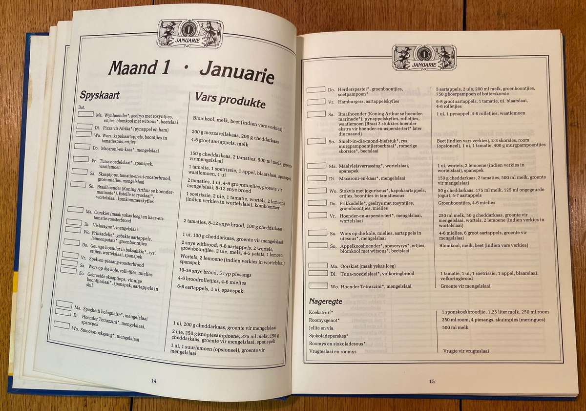 GESINSKOS - Christelle Erasmus en Eric Barnard - 'n Jaarplan-spaarplan - 1st Uitgawe 1993 - RESEPTE.