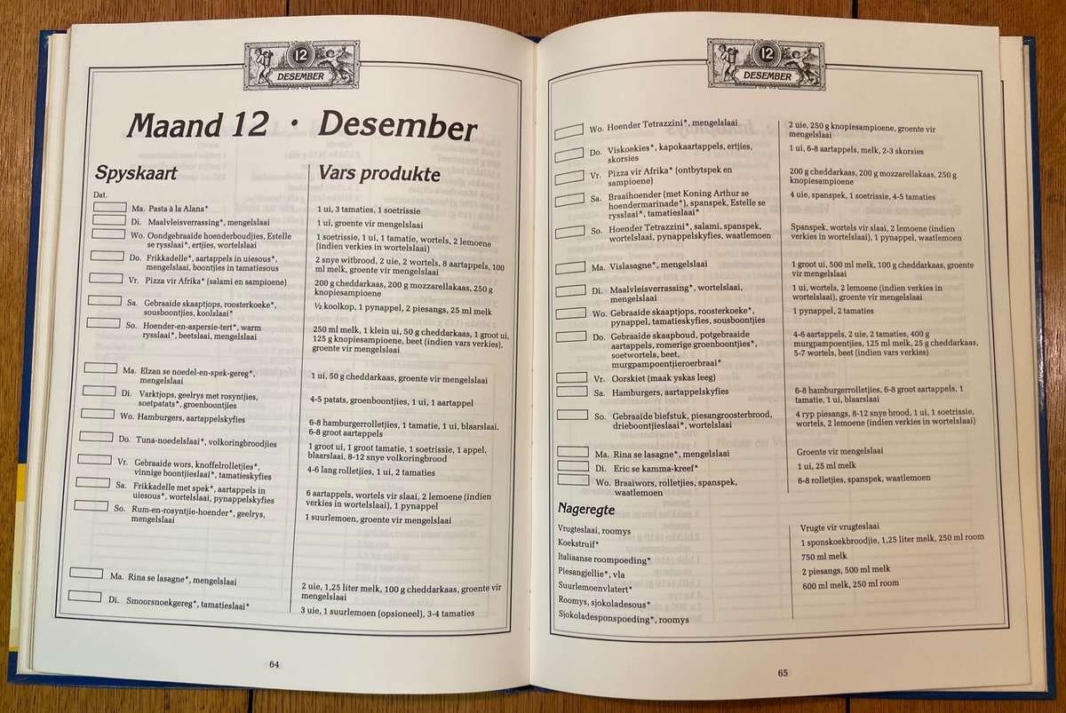 GESINSKOS - Christelle Erasmus en Eric Barnard - 'n Jaarplan-spaarplan - 1st Uitgawe 1993 - RESEPTE.