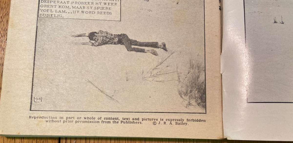 DIE SWERWER - KOS VIR DIE AASVOELS - NO. 16 - PHOTO COMIC STORY - FOTO VERHAAL