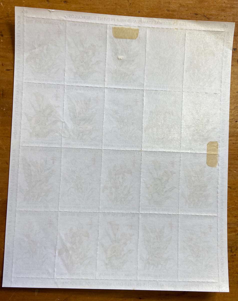 CHRISTMAS STAMPS SHEET RSA KERSFEES 1982 PREVENT TUBERCULOSIS 40c CINDERELLAS FLOWERS CGH TVL OFS NT