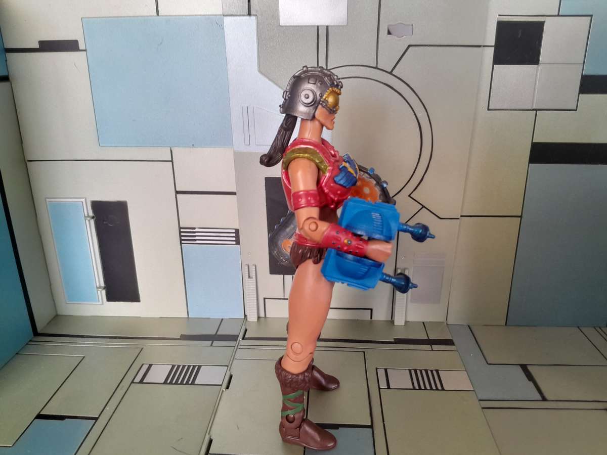 Masters of the Universe Classics Fighting Foe Men Shield Maiden Sherrilyn -  Loose Figures