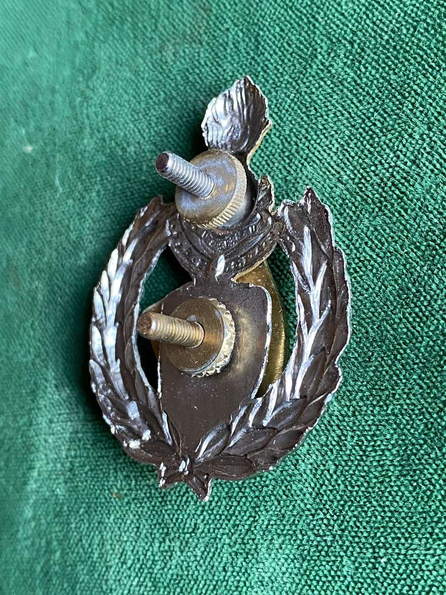 15 FIELD ENGINEER REGIMENT CAP BADGE- 2 X SCREW LUGS