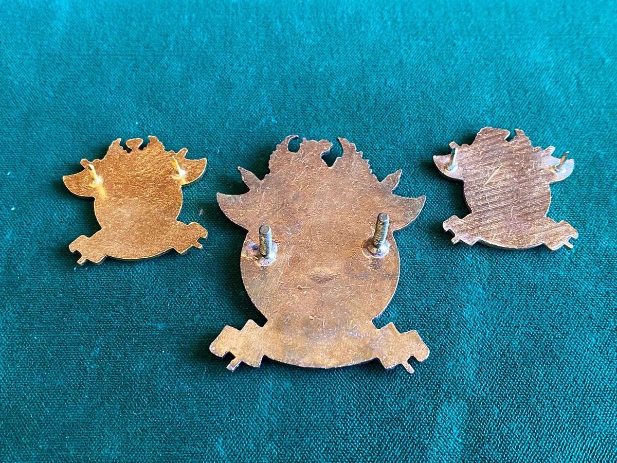 CIVIL DEFENCE CAP AND COLLAR-APPROVED IN 1969-LUGS + PINS INTACT