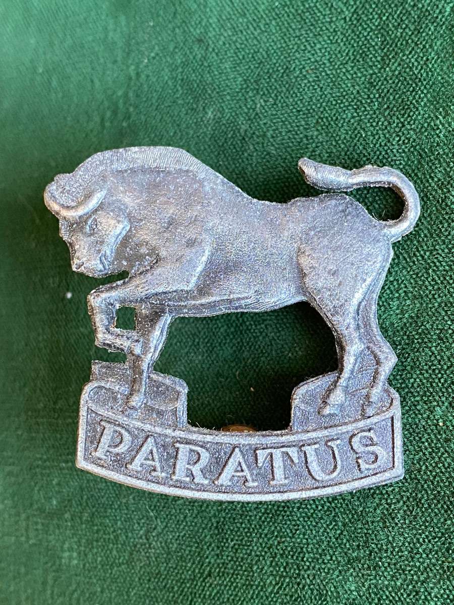 SA ARMY COLLEGE,GREY METAL CAP BADGE-APPROVED IN 1987- 2X SCREW LUGS