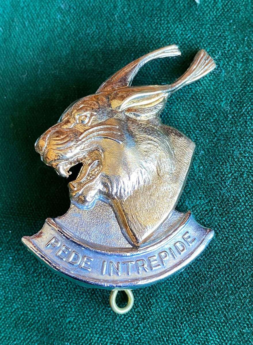 REGT. PRETORIUS BI/METAL CAP BADGE-APPROVED IN 1989- 2 LUGS