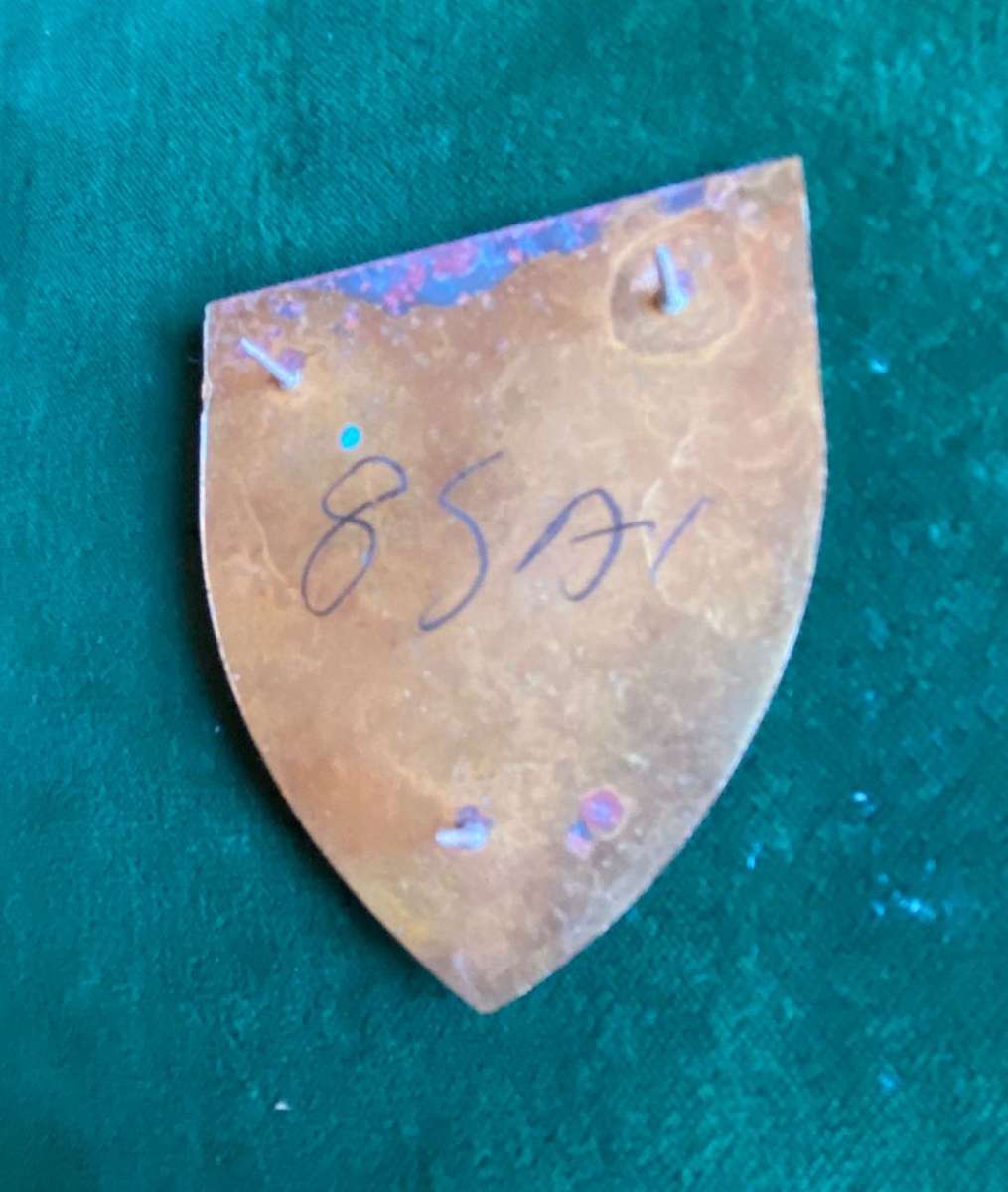 8 SA INFANTRY BATTALION FLASH-YELLOW TYPE- 3 PINS