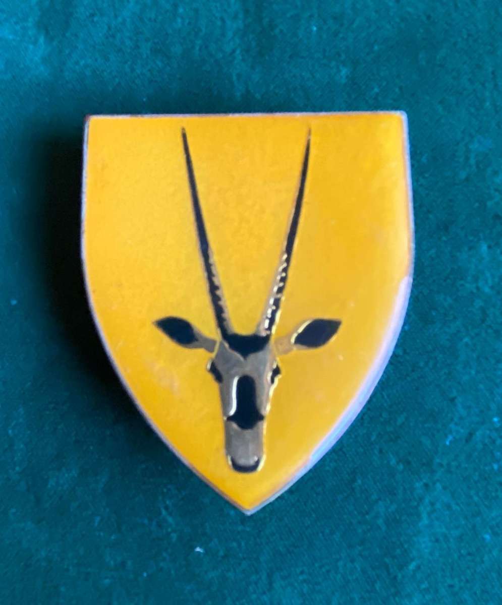 8 SA INFANTRY BATTALION FLASH-YELLOW TYPE- 3 PINS