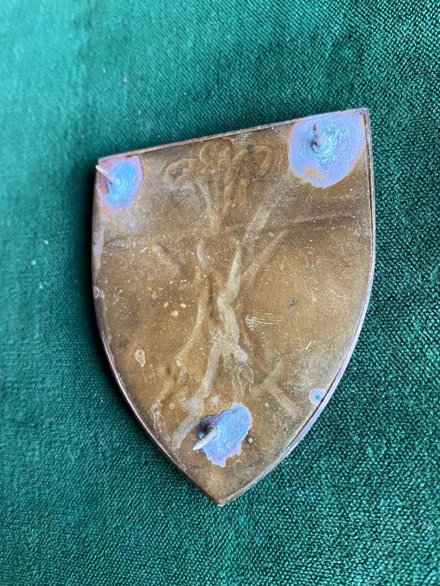 SOUTHERN CAPE COMMAND FLASH- 3 PINS