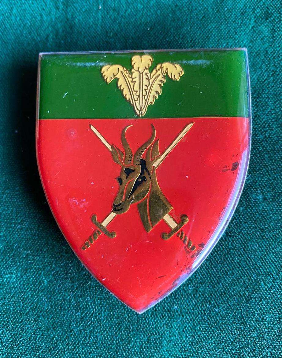 SOUTHERN CAPE COMMAND FLASH- 3 PINS