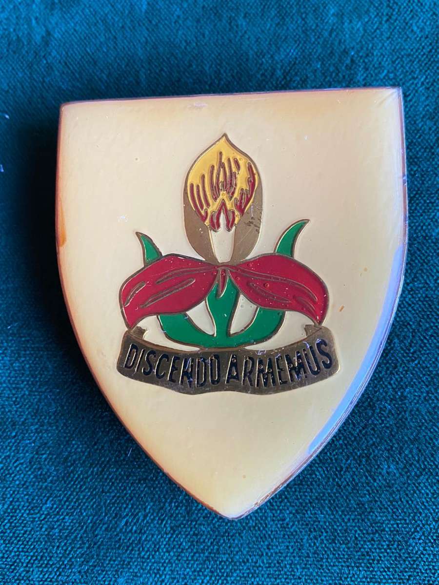 SA MILITARY ACADEMY-YELLOW CENTRE  FLASH- 3 PINS