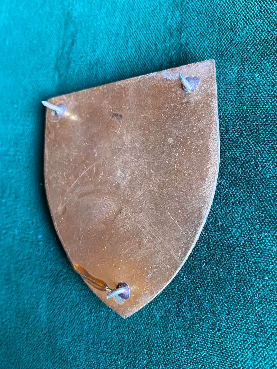 CISKEI FORCES (POLICE AND ARMY) FLASH- 3 PINS