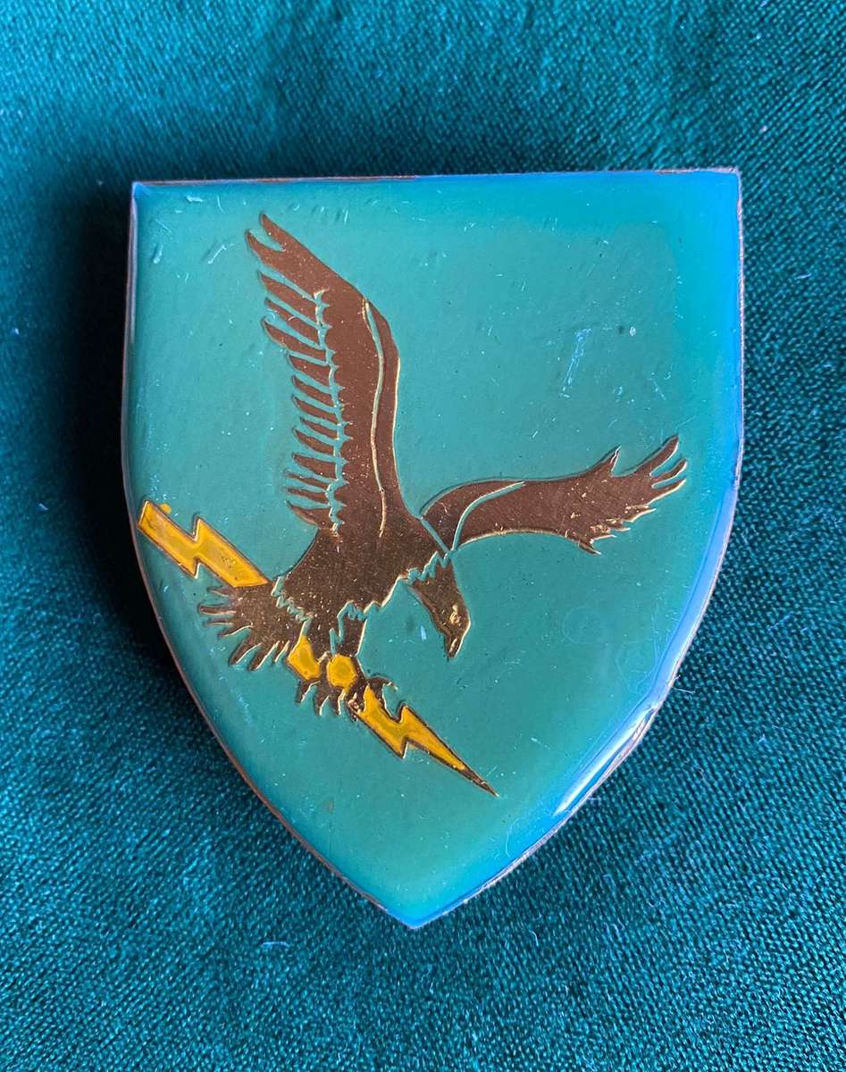 CISKEI FORCES (POLICE AND ARMY) FLASH- 3 PINS