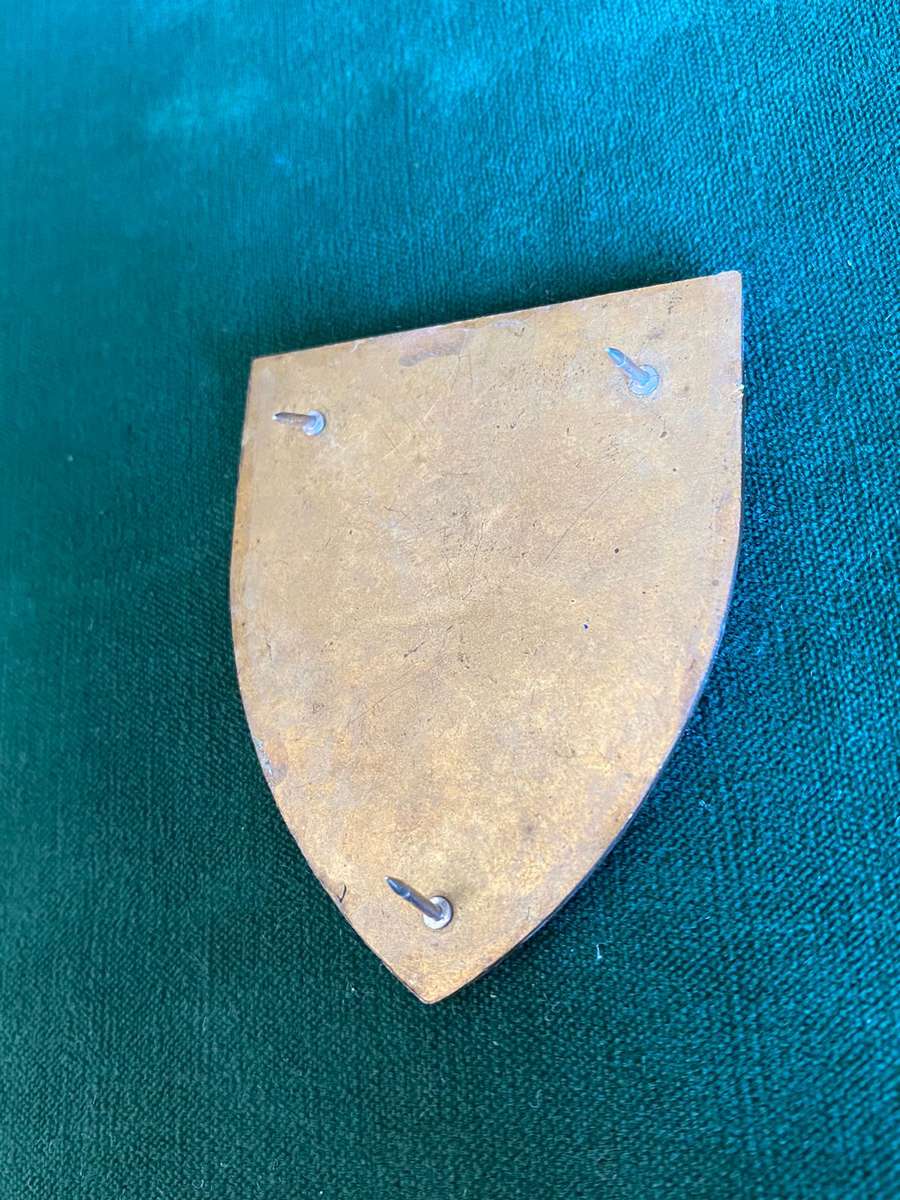 6 SA INFANTRY BN FLASH- GOLD TYPE-2ND ISSUE- 3 PINS