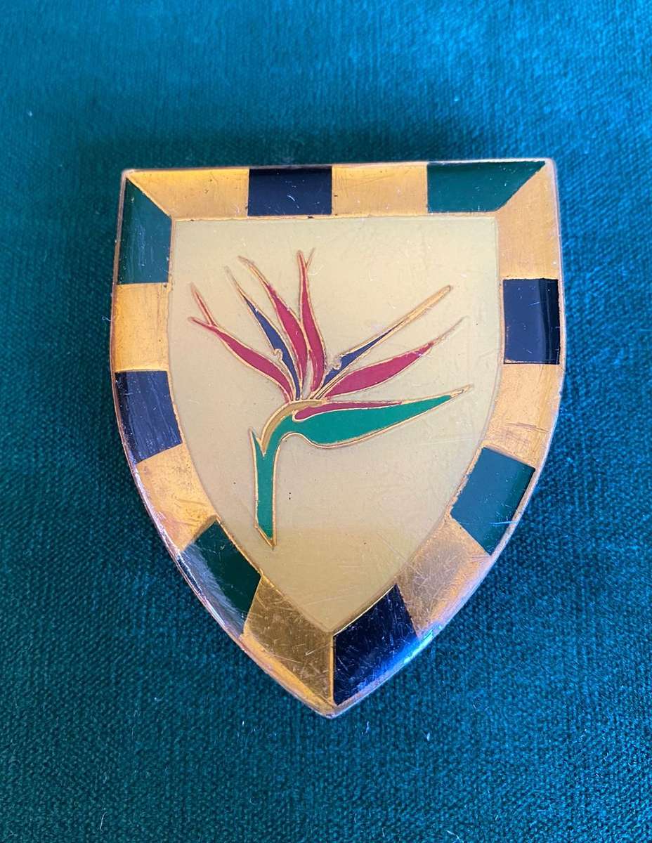 6 SA INFANTRY BN FLASH- GOLD TYPE-2ND ISSUE- 3 PINS