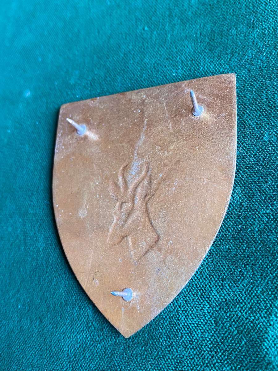 NATAL COMMAND-GOLD TYPE FLASH- 3 PINS