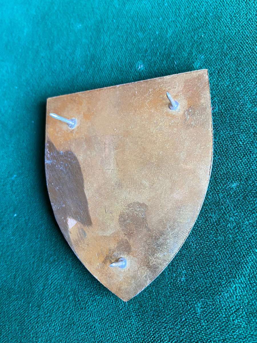 SA QUARTERMASTER GENERAL-YELLOW TYPE-FLASH- 3 PINS