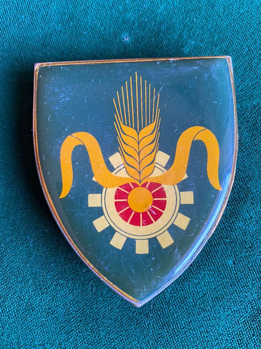 SA QUARTERMASTER GENERAL-YELLOW TYPE-FLASH- 3 PINS