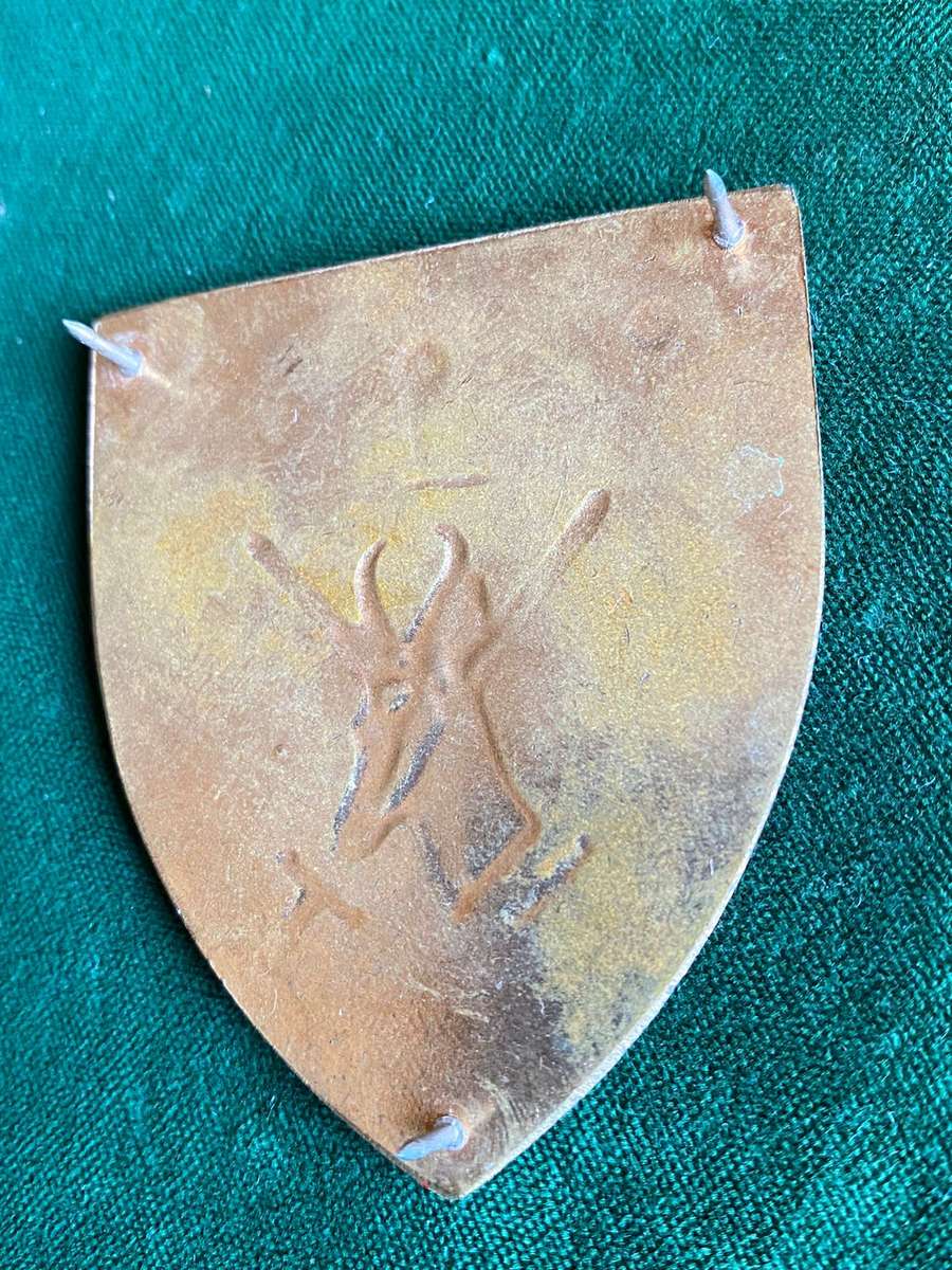 NORTHERN TRANSVAAL COMMAND FLASH- 3 PINS