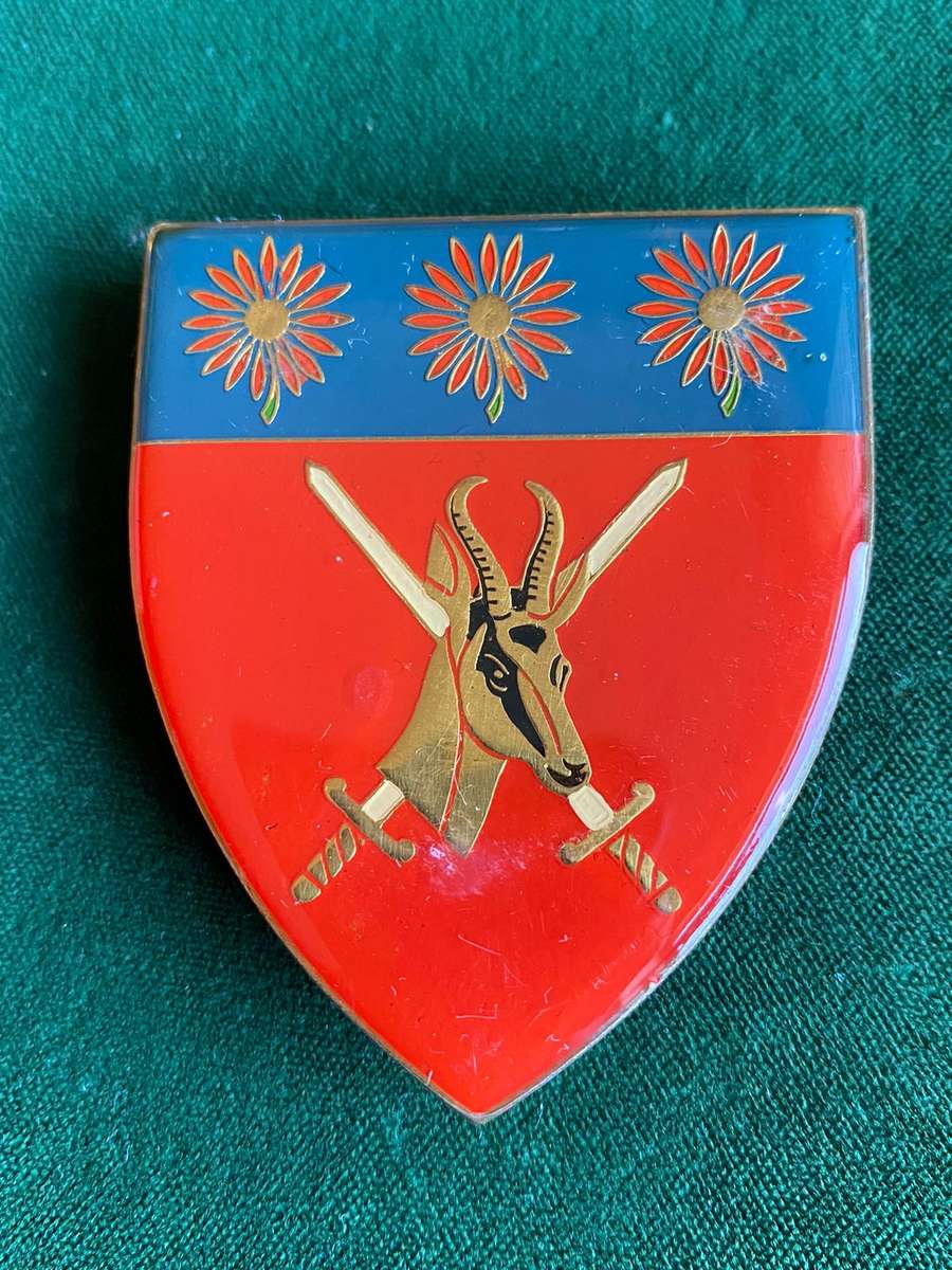 NORTHERN TRANSVAAL COMMAND FLASH- 3 PINS