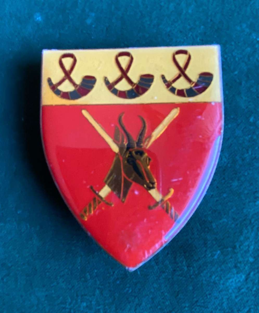 ORANGE FREE STATE COMMAND -GOLD TYPE FLASH- 3 PINS