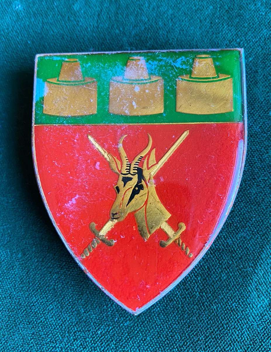 WITWATERSRAND COMMAND-GOLD TYPE FLASH- 3 PINS