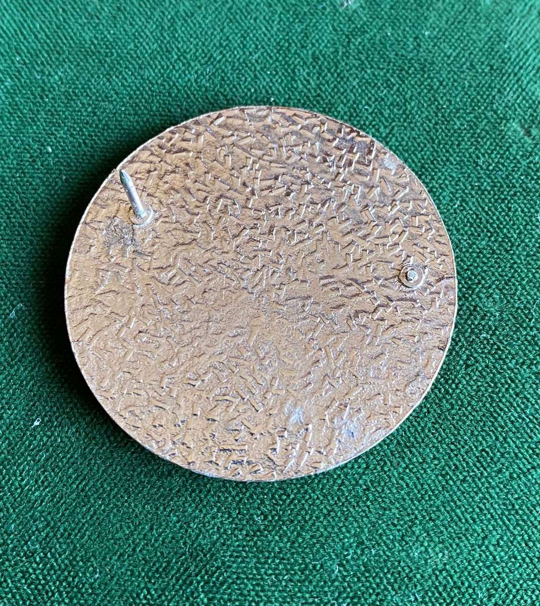 SWA 911 BATTALION BERET BADGE-ONE PIN