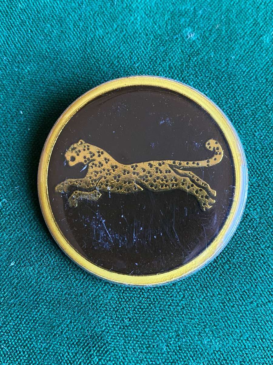 SWA 911 BATTALION BERET BADGE-ONE PIN