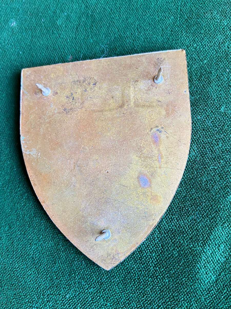 WITWATERSRAND COMMAND-GOLD TYPE FLASH- 3 PINS