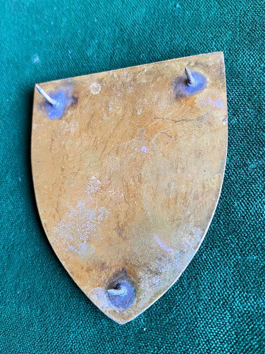 CHIEF OF STAFF PERSONNEL-GOLD TYPE FLASH- 3 PINS