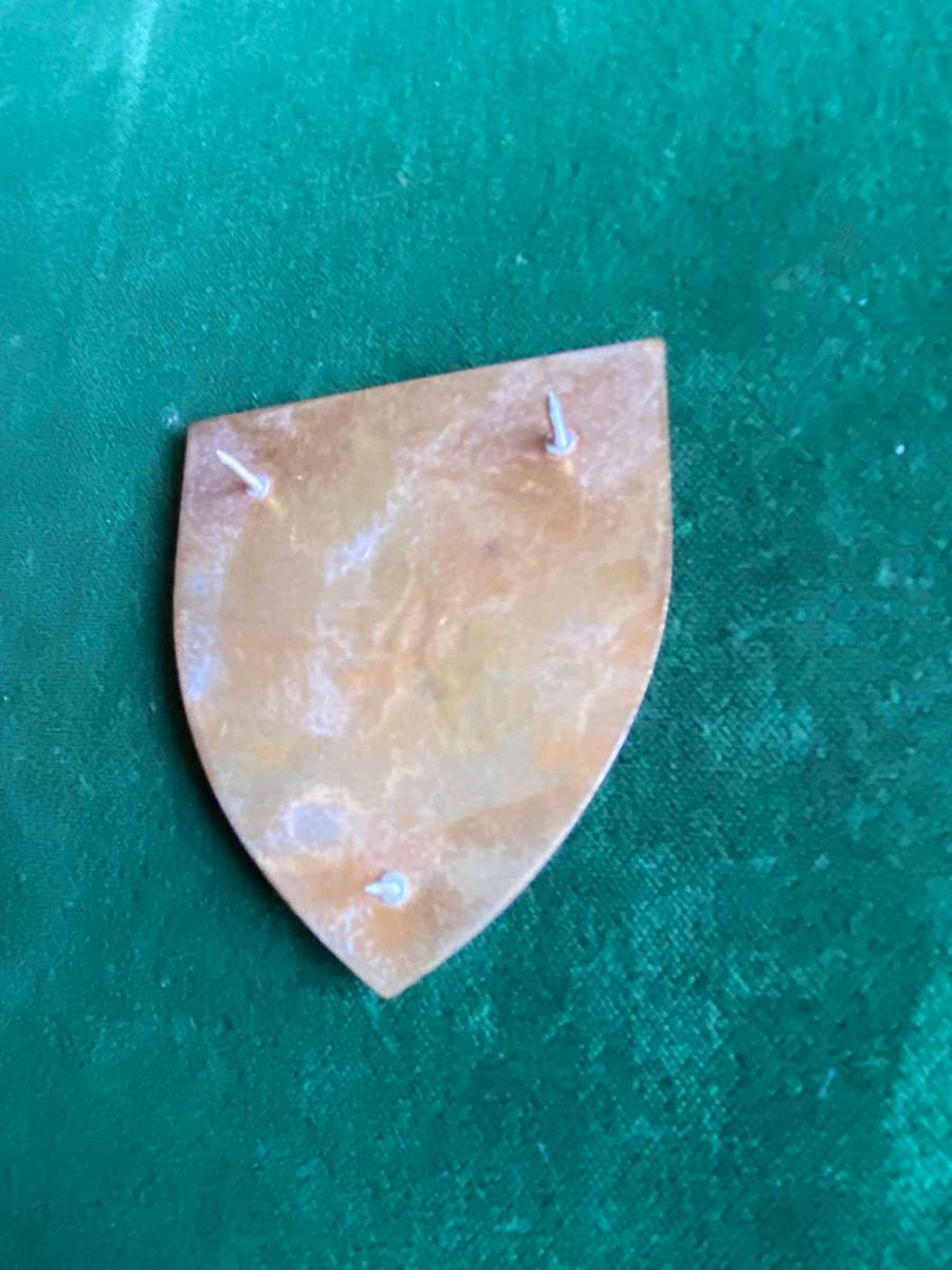 ORANGE FREE STATE COMMAND -GOLD TYPE FLASH- 3 PINS