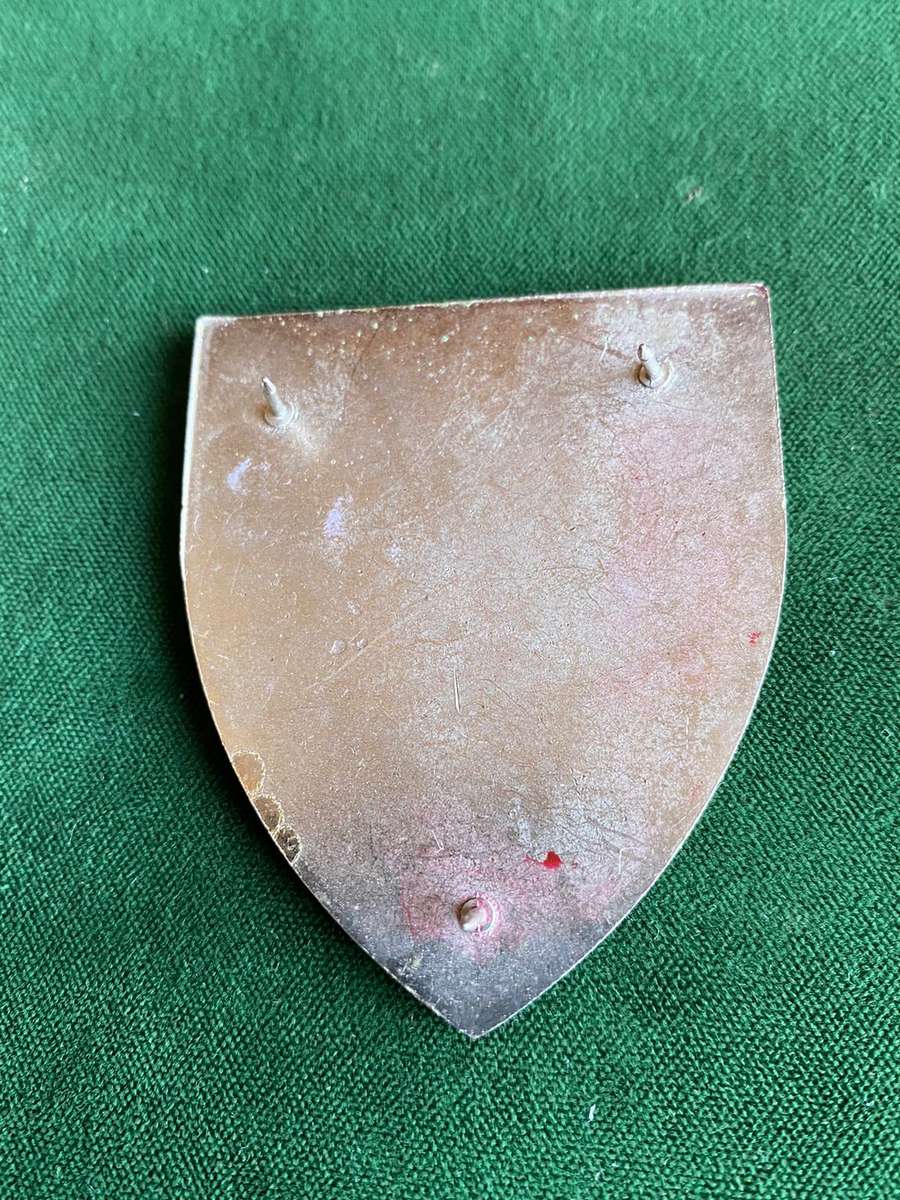 SWA COMMAND HQ FLASH-GOLD TYPE- 3 PINS