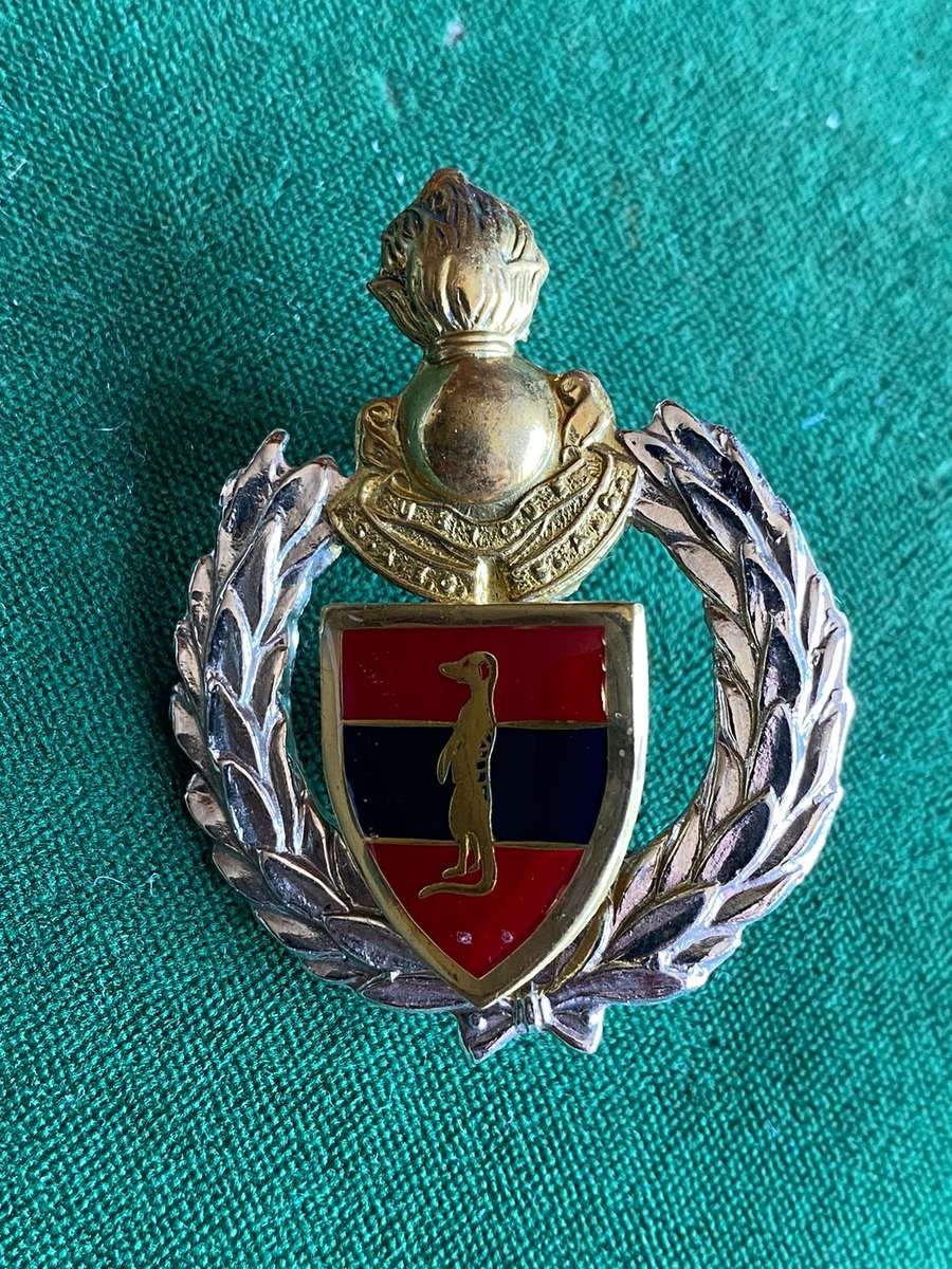6 FIELD ENGINEER REGT. CAP BADGE-APPROVED IN 1993-LUGS INTACT