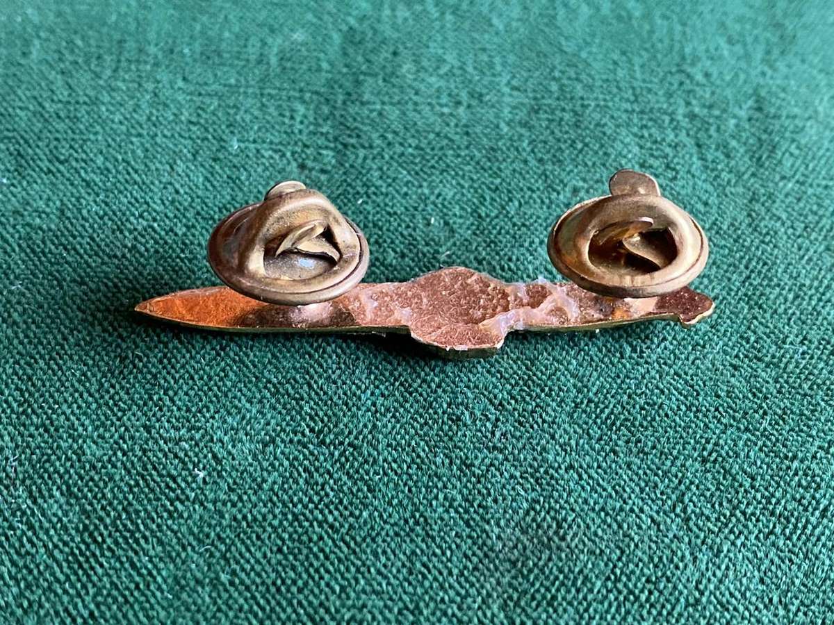 SWA 91 BRIGADE GOLD OPERATIONAL PROFICIENCY BREAST BADGE-APPROVED IN 1985-ORIGINAL- 2 PINS -THERE IS