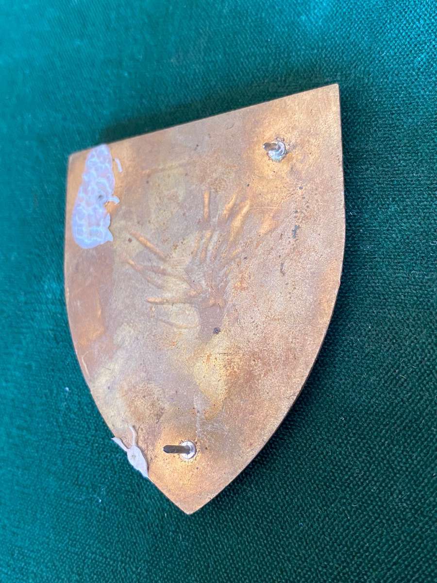 6 SA INFANTRY-GOLD TYPE FLASH- 2 PINS