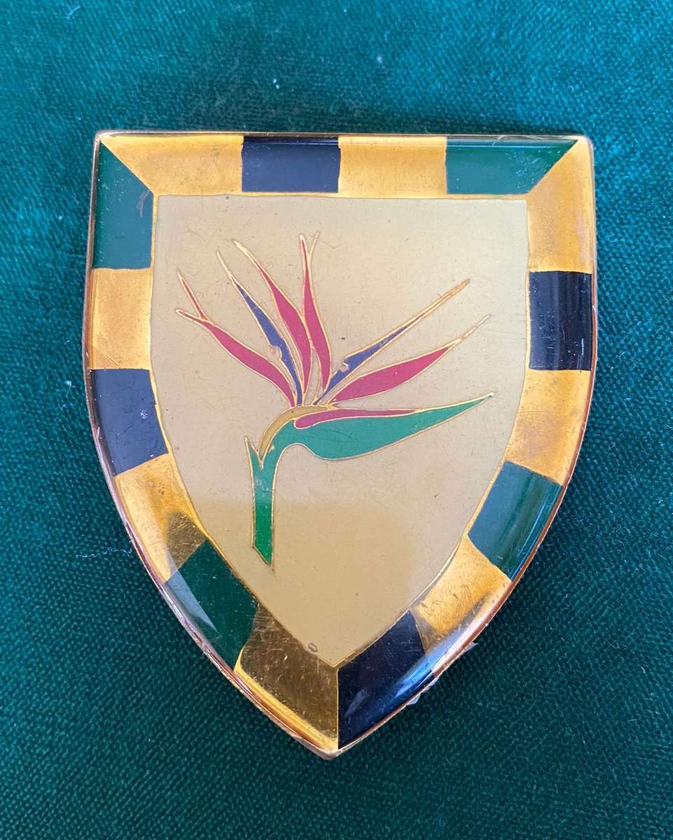 6 SA INFANTRY-GOLD TYPE FLASH- 2 PINS