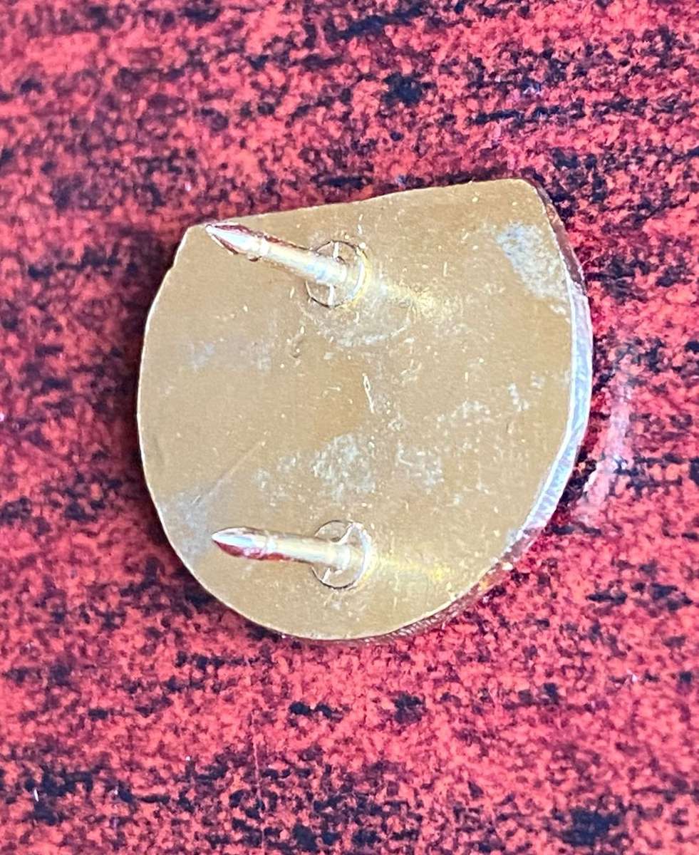 SWA SCHOOL CADETS BREAST BADGE-SCARCE