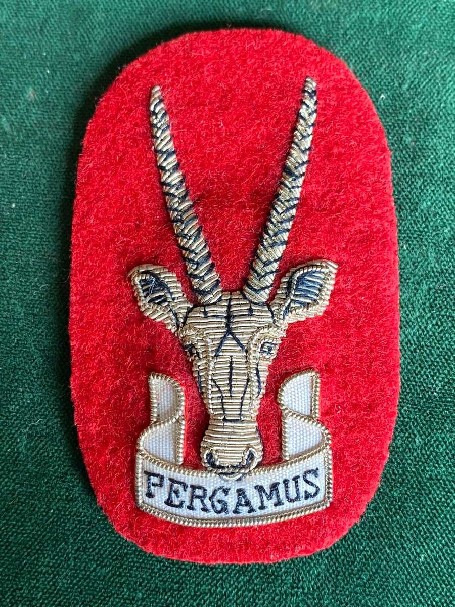 S.W.A.T.F. SENIOR OFFICERS STAFF QUALIFIED CAP BADGE (COLONELS) SILVER WIRE EMBROIDERED-VARIATION(NO