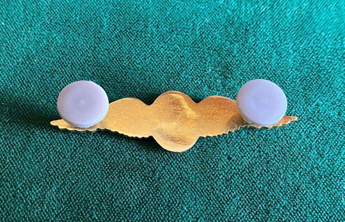 SAAF COMMANDO PILOT,MESS DRESS ,BREAST WING- 2 PINS