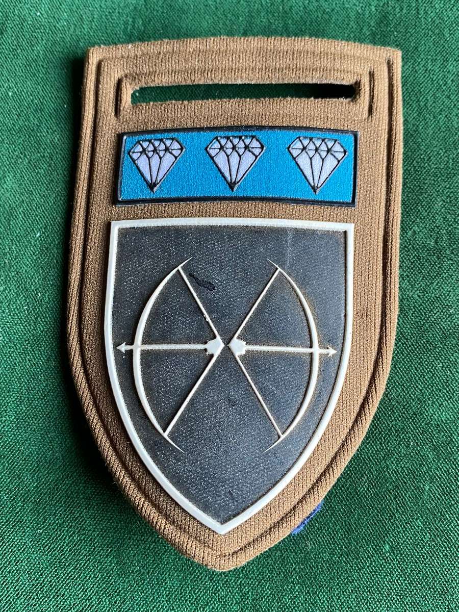 31 BATTALION WITH NORTHERN CAPE COMMAND BAR-TUPPER FLASH-ONE PIN